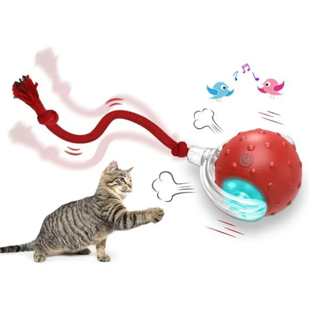 Interactive Cat Toys Ball Fast Rolling on Carpet Chirping & Motion Activated